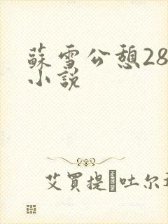 苏雪公憩28篇小说封面