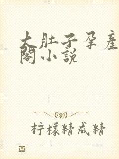 大肚子孕产笔趣阁小说