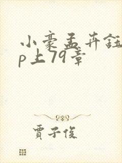 小豪孟卉钰慧三p上79章封面