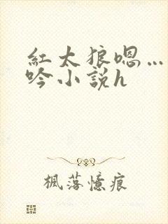 红太狼嗯…啊呻吟小说h