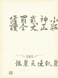 修罗武神小说阅读全文正版