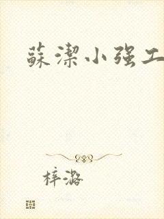 苏洁小强工地情封面