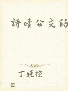 诗晴公交的小说