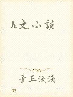 h文小说封面