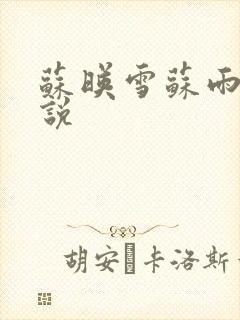 苏映雪苏雨柔小说封面