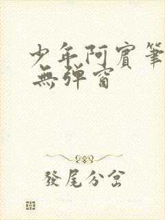 少年阿宾笔趣阁 无弹窗