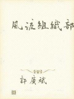 风流组织部长封面