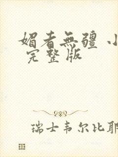 媚者无疆 小说 完整版