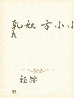乳奴 方小小 h封面