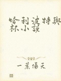 哈利波特与火焰杯小说