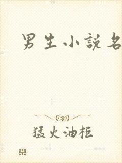 男生小说名字封面