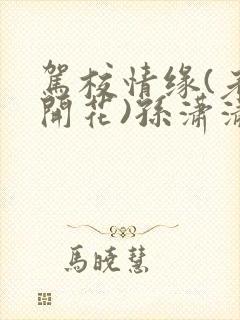 驾校情缘(老树开花)孙潇潇第一次趣笔阁