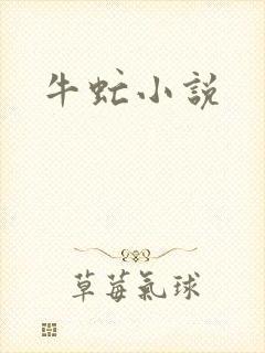 牛虻小说