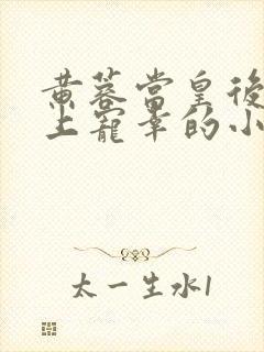 黄蓉当皇后被皇上宠幸的小说叫什么