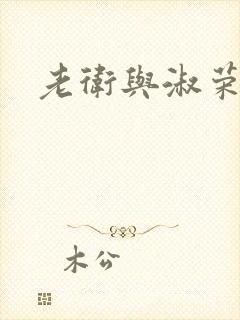 老卫与淑荣封面