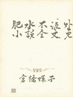 肥水不流外人田小说全文免费阅读全本免封面