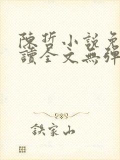 陈哲小说免费阅读全文无弹窗