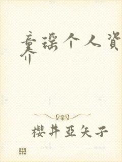 童瑶个人资料简介