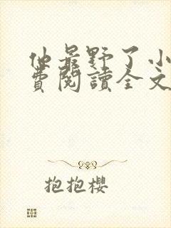 他最野了小说免费阅读全文封面