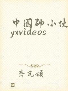 中国帅小伙gayxvideos