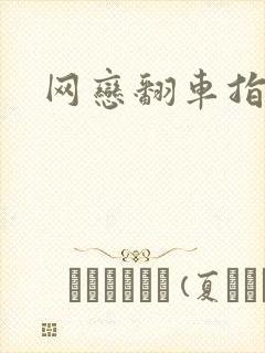 网恋翻车指南封面
