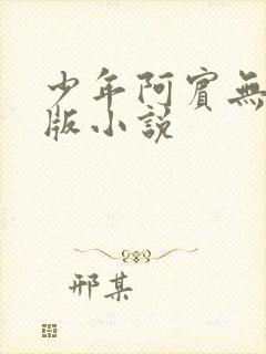 少年阿宾无删减版小说
