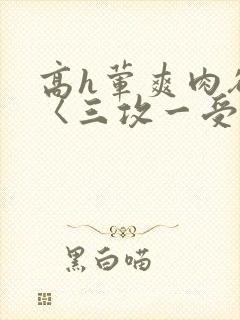 高h荤爽肉欲文〈三攻一受