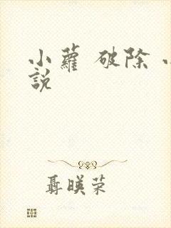 小萝 破除 小说