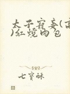 太子宠妾(高肉)红烧肉包