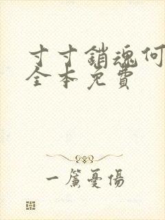 寸寸销魂何生祥全本免费