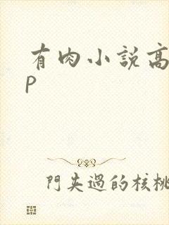 有肉小说高hnp
