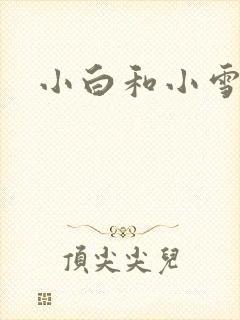 小白和小雪
