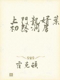 上门龙婿叶辰萧初然洞房