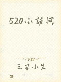 520小说网