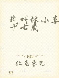 我叫林小喜今年十七岁封面