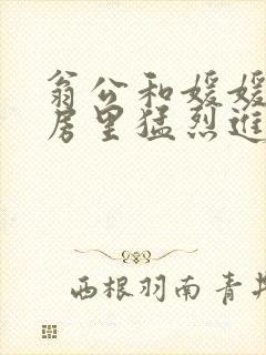 翁公和媛媛在厨房里猛烈进出封面