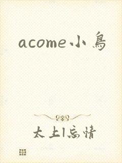 acome小鸟封面
