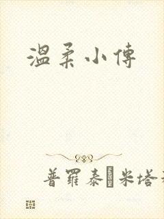 温柔小传
