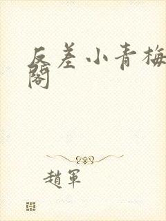 反差小青梅笔趣阁