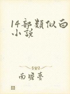 14部类似白洁小说封面