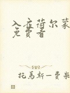 入夜荷尔蒙电影免费看