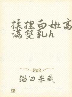 揉捏白嫩高耸饱满双乳h