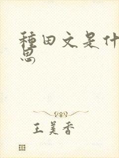 种田文是什么意思