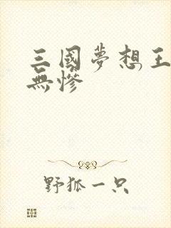 三国梦想王元姬无惨封面