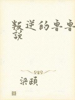 叛逆的鲁鲁修小说