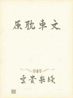 原耽车文