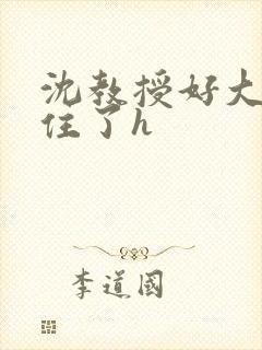 沈教授好大含不住了h