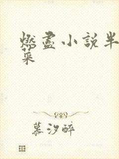 燃尽小说半截白菜