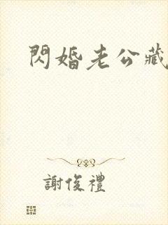 闪婚老公藏不住封面