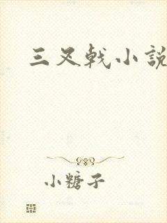 三叉戟小说